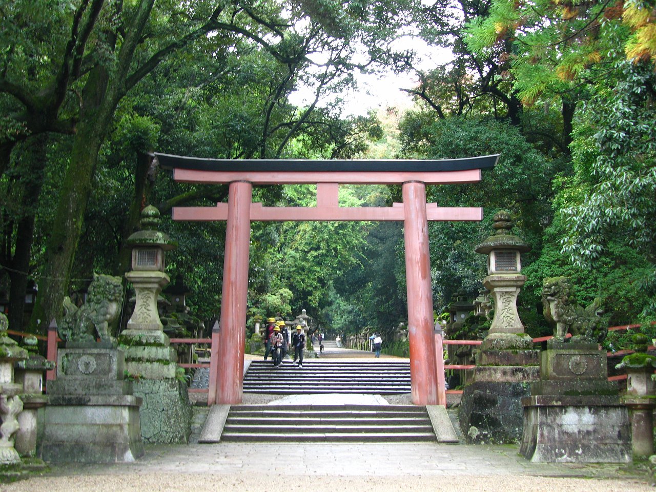 awesome walk to kasuga shrine.JPG